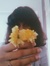 Shilpa