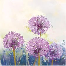 purpLe_dandeLion