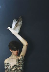 لو كنت هارب