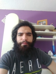 David Sanchez Serviin