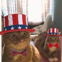 Sharona Kat