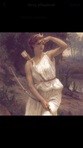 Aurelia Aurelia