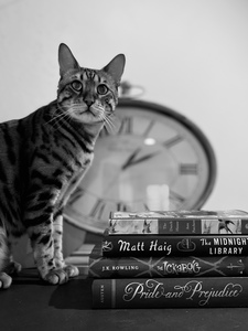 on-shelf-and-read