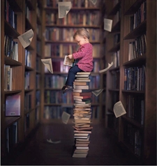 السنديانة المضيئة