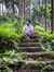 Swaroop