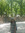 Amna