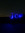 Joe D