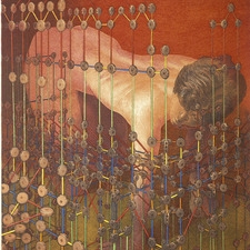 Simon  Knogler