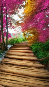 ايمن عبدالاول