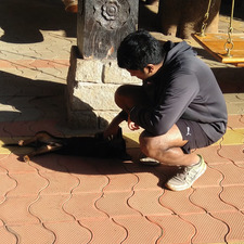 Shiv Surya