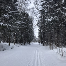 Concetta Roche-Kobernyk 