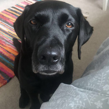 Millie Hack