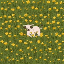 kate peterkins 