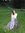 Anne Rhome