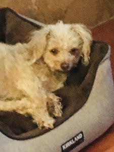 christine e. harrison