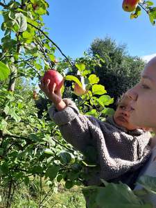 Aušrinė Sinušaitė