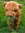 member photo member photo