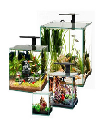 aquarium for sale