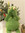 Cristina (crisisisme) | 5 comments