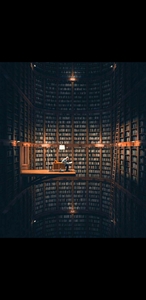 Michelle Schoberlechner