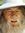Noah Kater