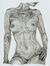 Roberto Haggart