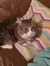 Trudy