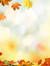 Tisha G...