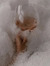 Femke