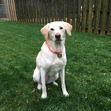 Julie
