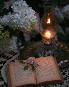 إيناس عبد اللّٰه