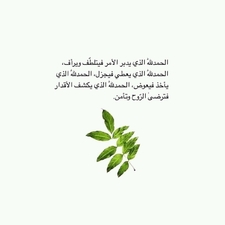 غربة وطن