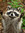 Sharron | 3 comments
