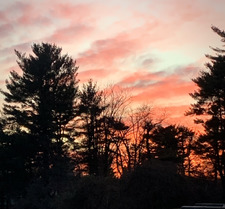 Avery Obermeier-Walker