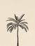 Turki