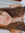 Ana Luiza