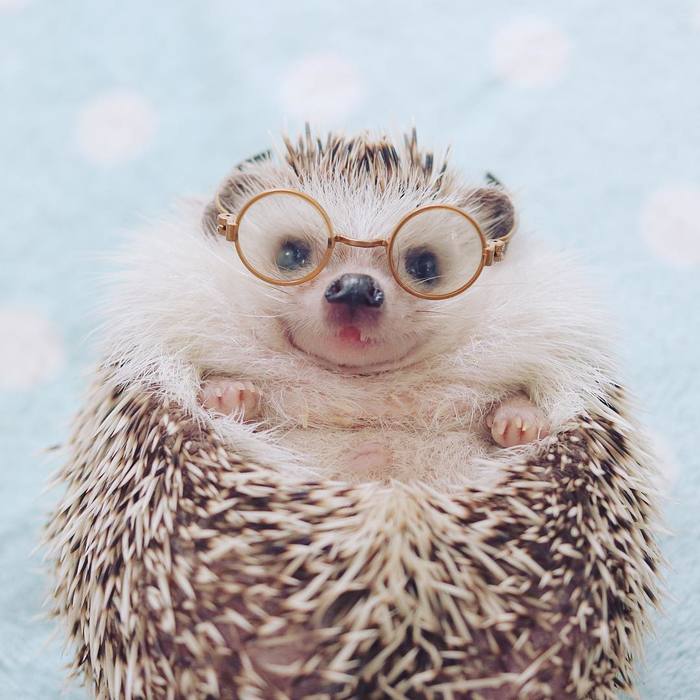 Goodreads profile picture for @fantasize