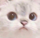 Nat