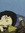 Jamie (jamielg)