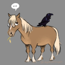 Katla Traustadóttir