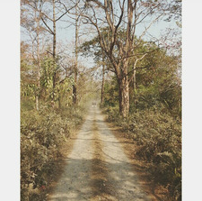 Sohinee Bhattacharjee