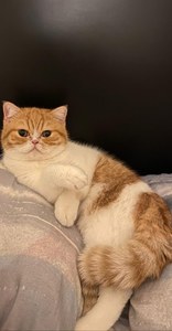 Екатерина Апостолюк