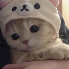 ari 