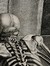 Lewis Perie
