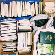 راوية القحطاني