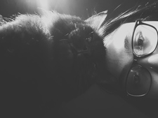 Dwi Setya Adiningrat