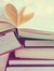 books_n_brownie