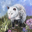 Opossum