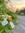 MonoNoAware | 22 comments