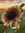 Jenn | 2 comments